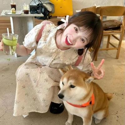 诡婳狐