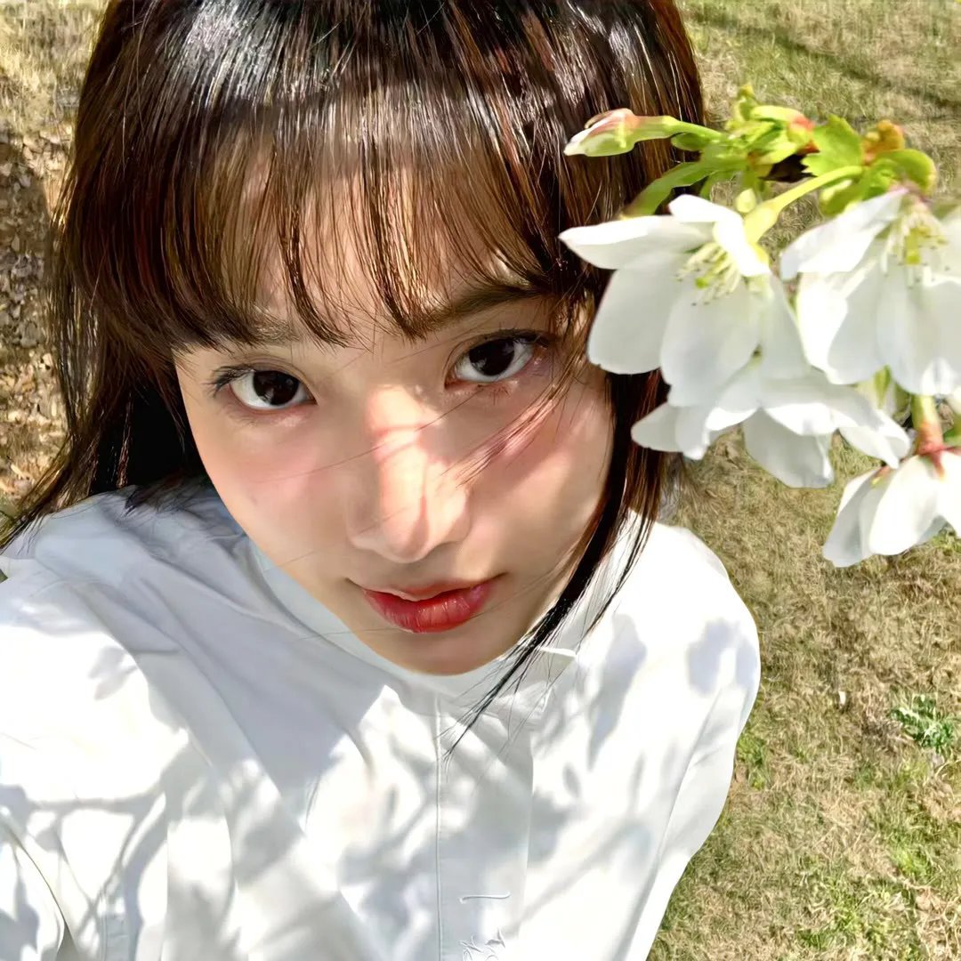 你是我的姐妹